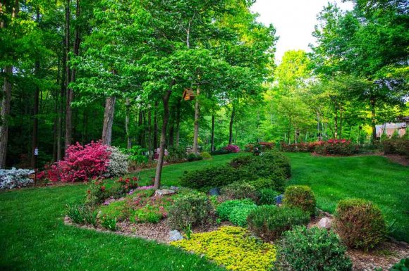 Faire construire un massif végétal pour un jardin privé - Saint-Didier-au-Mont-d’Or - HORIZON PAYSAGE