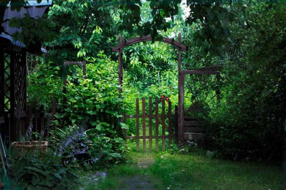 Faire nettoyer un jardin à l'abandon - Saint-Didier-au-Mont-d’Or - HORIZON PAYSAGE