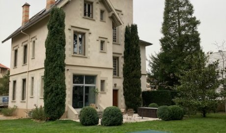 Rabattage de cyprès colonne  par paysagiste vers Saint-Didier-au-Mont-d'Or