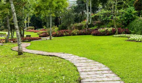 Aménager une allée de jardin par un professionnel - Saint-Didier-au-Mont-d’Or - HORIZON PAYSAGE