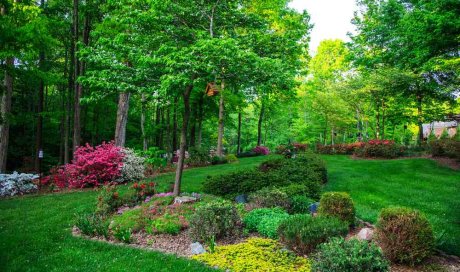 Faire construire un massif végétal pour un jardin privé - Saint-Didier-au-Mont-d’Or - HORIZON PAYSAGE